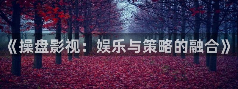 诸葛九九之极限挑战免费观看：《操盘影视：娱乐与策略的融合》