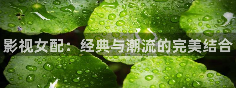 九九电视剧免费视频：影视女配：经典与潮流的完美结合