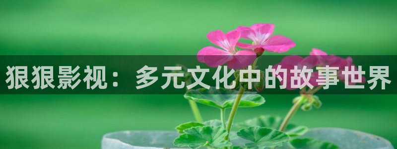 九九热在线观看视频：狠狠影视：多元文化中的故事世界