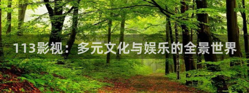 伊人九九影院：113影视：多元文化与娱乐的全景世界