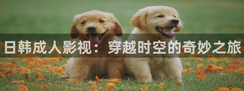 九九,视频：日韩成人影视：穿越时空的奇妙之旅
